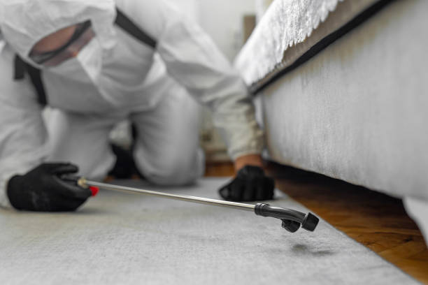 Professional Termite Control technician working in Owensboro, KY