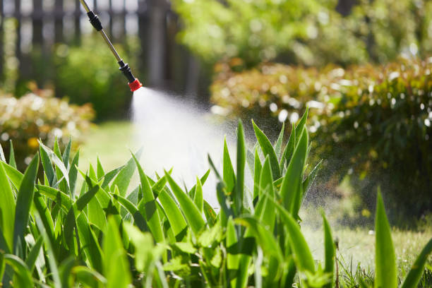 24/7 Emergency Termite Control experts in Owensboro, KY