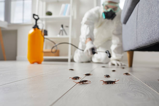 Trusted Fumigation Services service in Owensboro, KY - Nex Pest Control