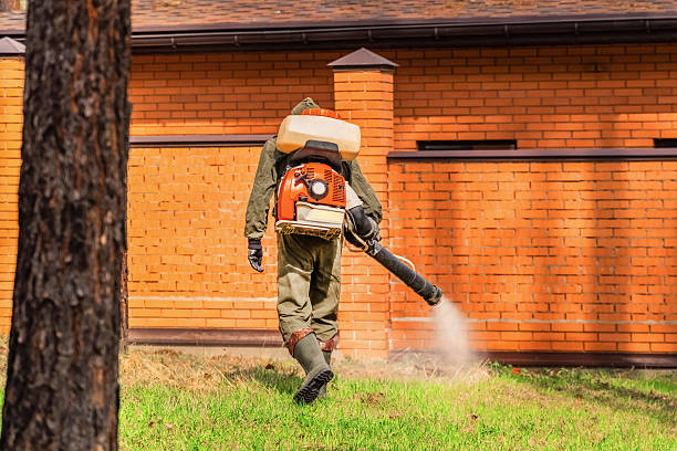 Trusted Ant Control service in Owensboro, KY - Nex Pest Control